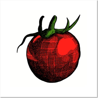Tomato Posters and Art